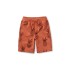 Multicolor  Indian Cotton Shorts Half Pants